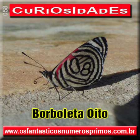 curiosidades-numeros-borboleta-oito