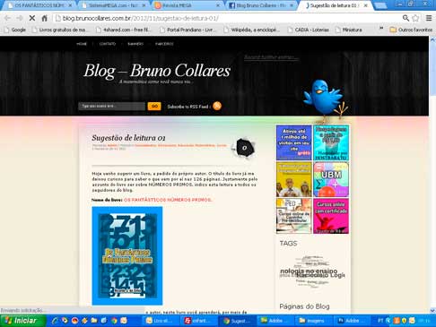 blog-bruno-collares-novembro-2012