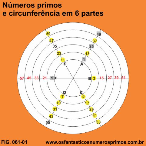 Partes do Círculo e Circunferência em COQUINHOS