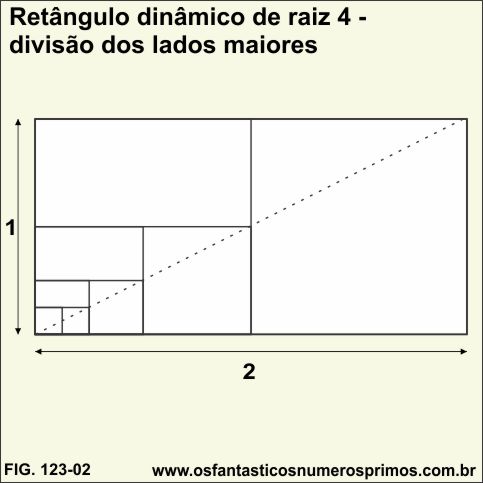 retângulo dinâmico de raiz 4 - divisão dos lados maiores
