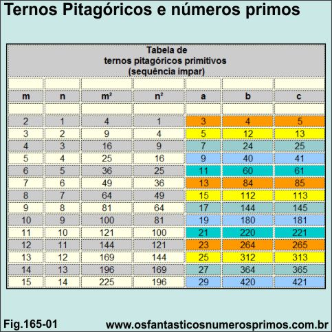 Ternos pitagóricos e números primos