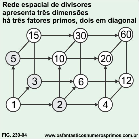 Rede Espacial de Divisores