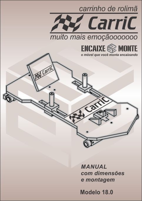 Projeto de Carrinho de Rolimã - modelo 18.0 - CarriC