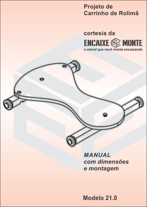 projeto de carrinho de rolimã - modelo 21